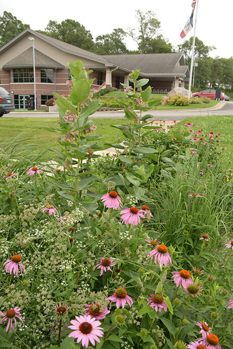 Solon Library building