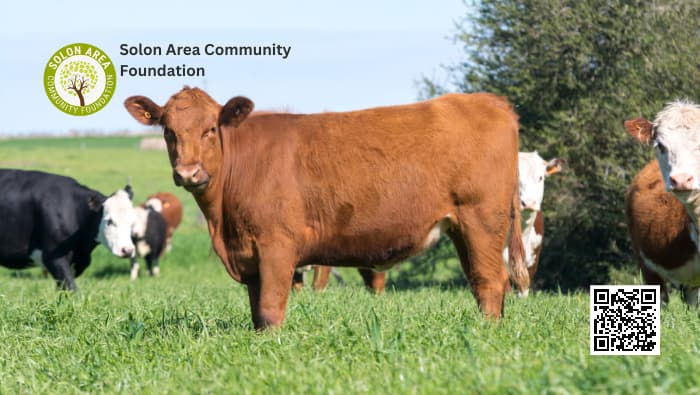 Solon Area Community Foundation - Solon Beef Days