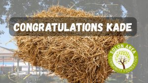 2025 Solon Beef Days